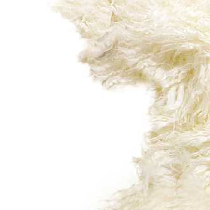 2' X 3' Natural New Zealand Sheepskin Wool Area Rug