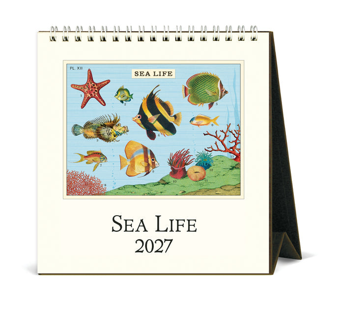 2027 Cavallini & Co. Sea Life Desk Calendar
