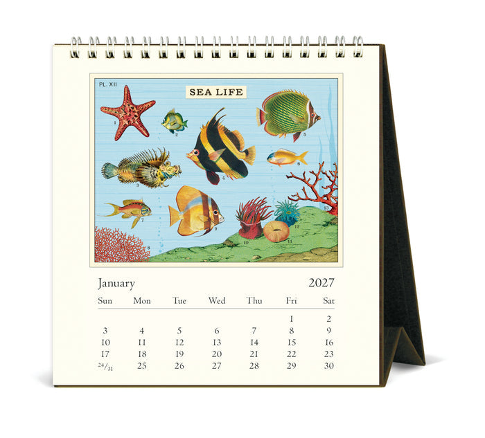 2027 Cavallini & Co. Sea Life Desk Calendar
