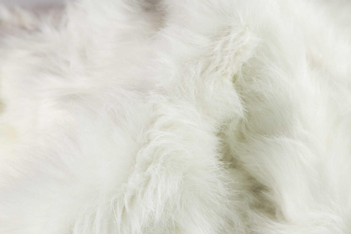 5' X 6' Off White Animal Print Shag Area Rug