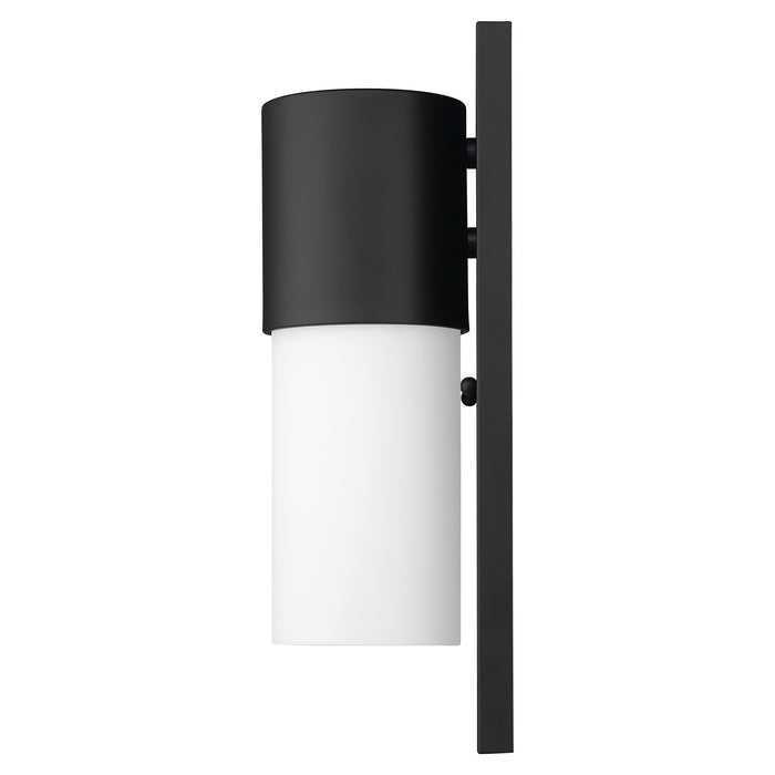 Black Frosted Dimmable Outdoor Hanging Light With Black And White Shades