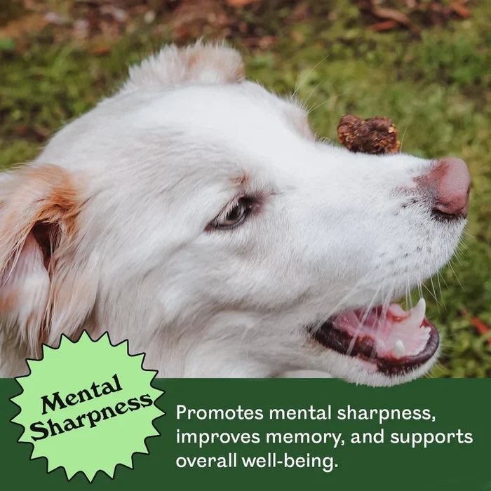 Eureka Cognitive + Vitality Functional Dog Treat 100g
