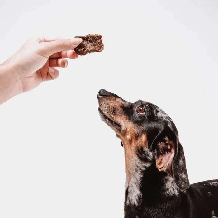 Eureka Cognitive + Vitality Functional Dog Treat 100g