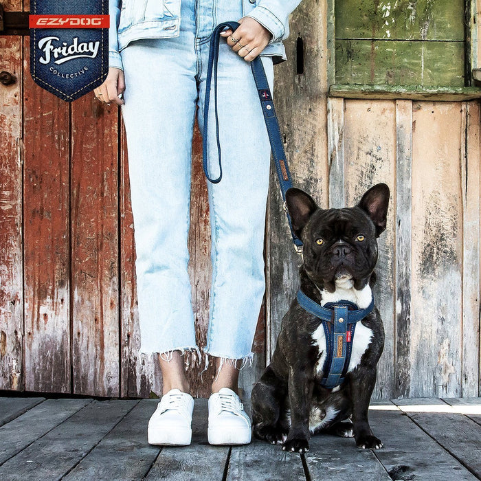 EzyDog Chestplate Dog Harness Denim Small
