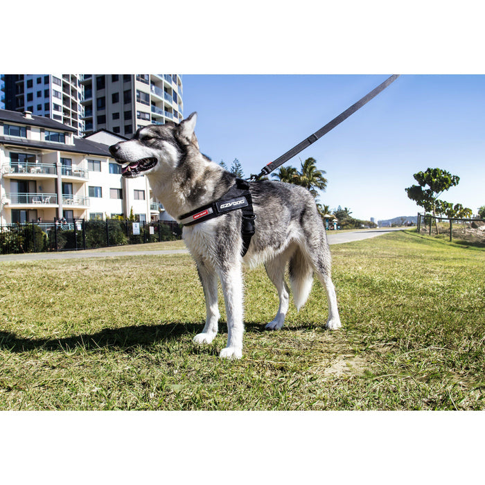 EzyDog Express Red Dog Harness Extra Large