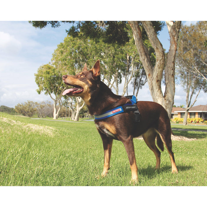 EzyDog Express Red Dog Harness Extra Small