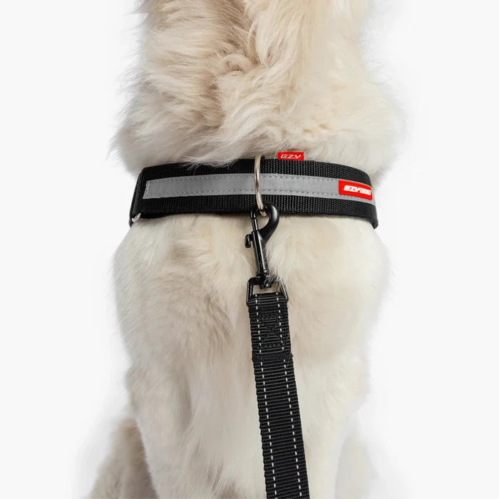 EzyDog Upfront D Ring Accessory for Convert and Express Harness 50mm