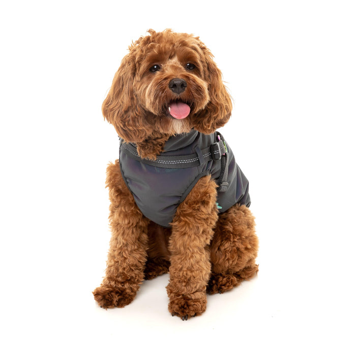 FuzzYard Dog Apparel Harness Jacket Reflective Flash Size 3