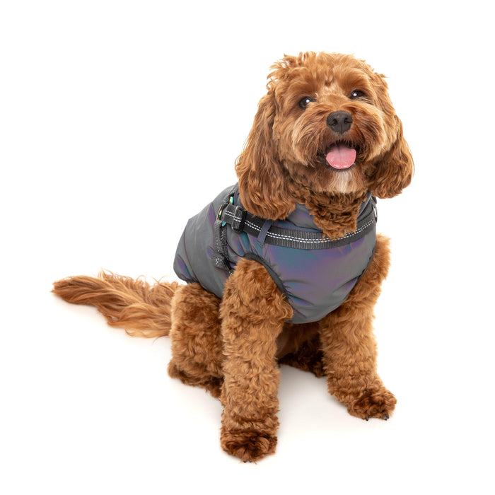FuzzYard Dog Apparel Harness Jacket Reflective Flash Size 5