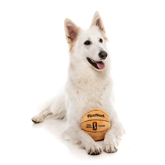 Fuzzyard Dog Toy Basketball