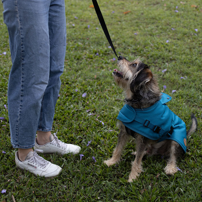 Kazoo Apparel Adventure Coat with Harness Hatch Blue Medium 46.5cm