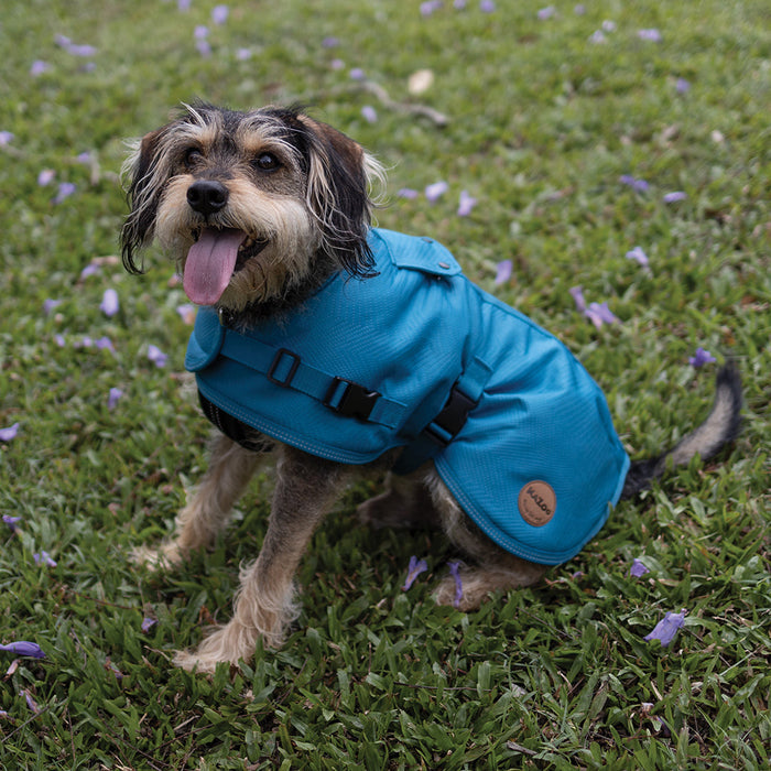 Kazoo Apparel Adventure Coat with Harness Hatch Blue Medium 46.5cm