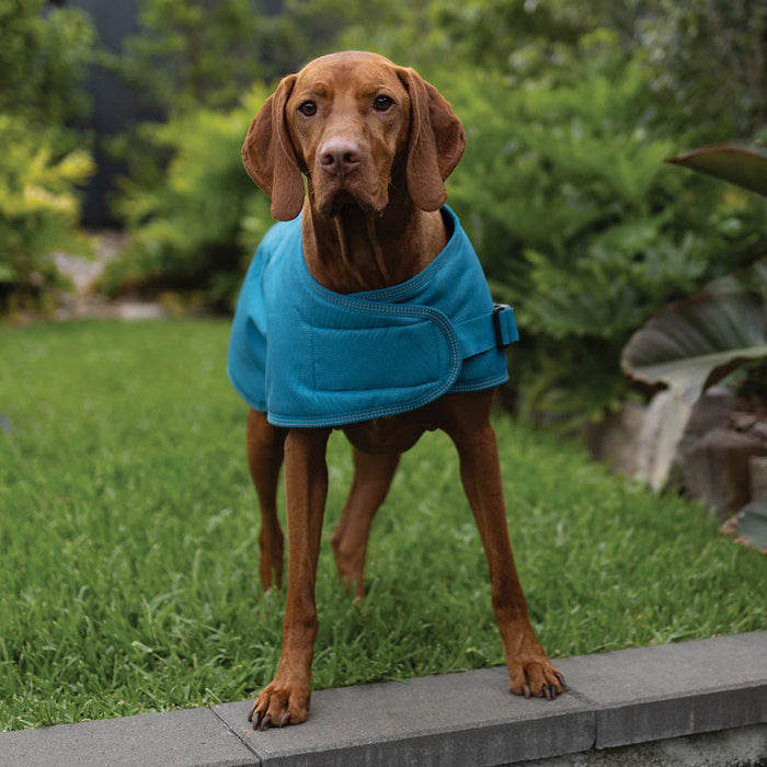 Kazoo Apparel Adventure Coat with Harness Hatch Blue Medium 46.5cm