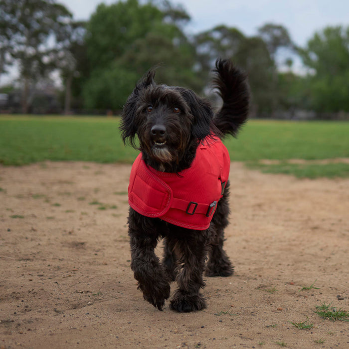 Kazoo Apparel Adventure Coat with Harness Hatch Red Extra Small 33.5cm
