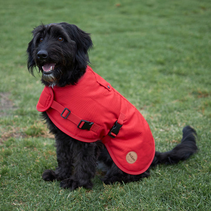 Kazoo Apparel Adventure Coat with Harness Hatch Red Large 59.5cm