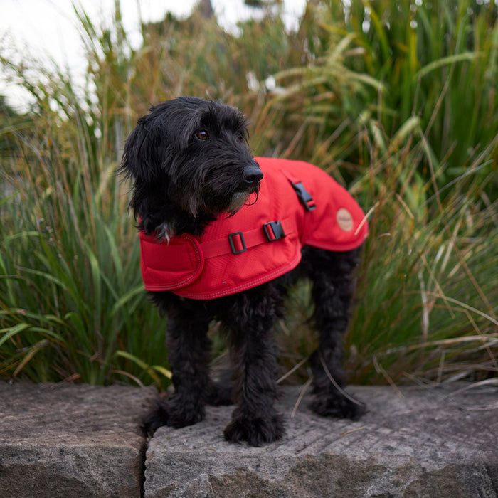 Kazoo Apparel Adventure Coat with Harness Hatch Red Large 59.5cm