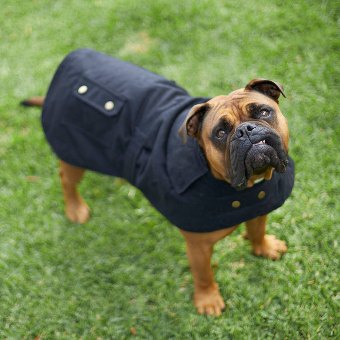 Kazoo Apparel Oilskin Dog Coat Black Large 59.5cm