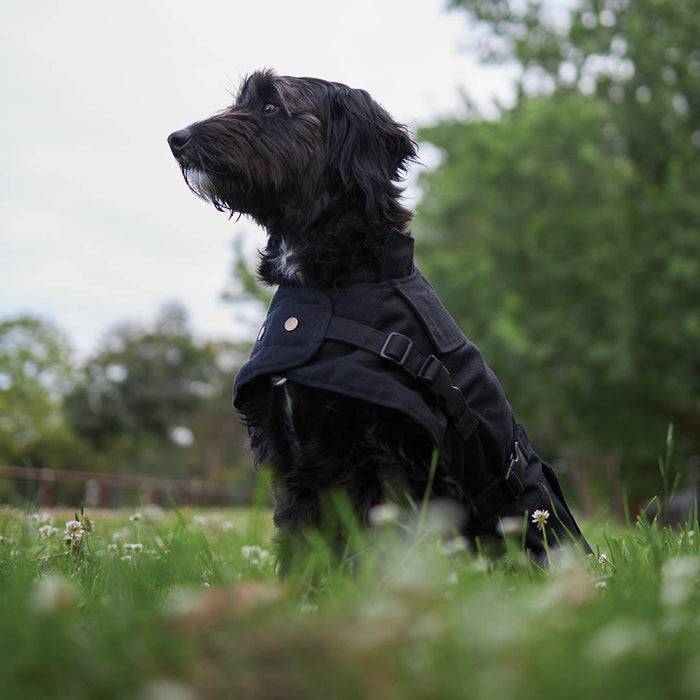 Kazoo Apparel Oilskin Dog Coat Black Medium 46.5cm