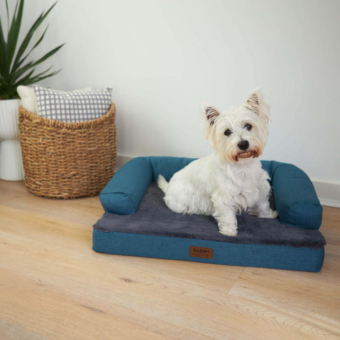 Kazoo Boudoir Medium Teal Dog Bed