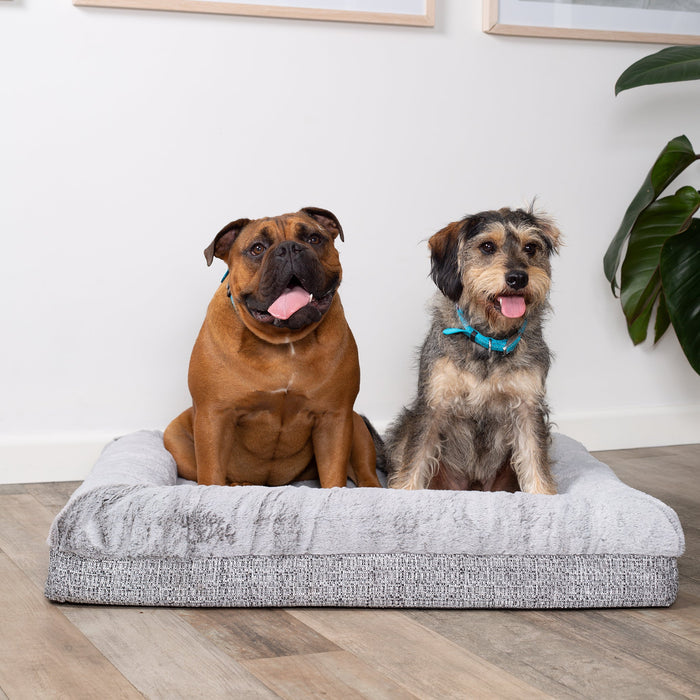 Kazoo Wombat Medium Plush Grey Dog Bed