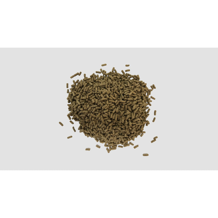 Minibeasts Insect in a Pellet Bearded Dragon 125g
