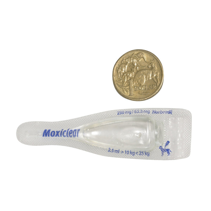 Moxiclear Flea and Worming Treatment for Dogs 10-25kg 6 Pack