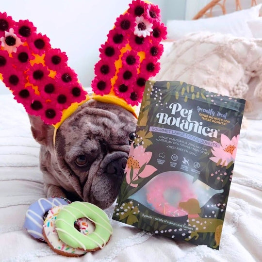 Pet Botanica Gourmet Doggy Donuts Large Dog Treats 5 Pack
