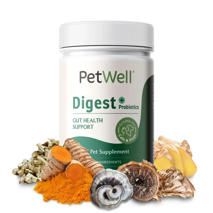 PetWell Digest Natural Pet Digestion Supplement for Dogs and Cats 125g