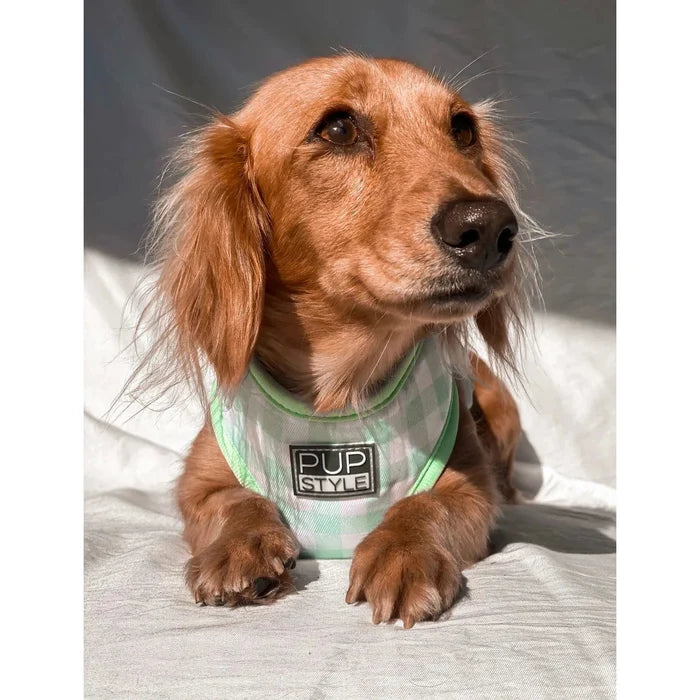 Pupstyle Suburban Collection Sweet Apple Dog Harness Large