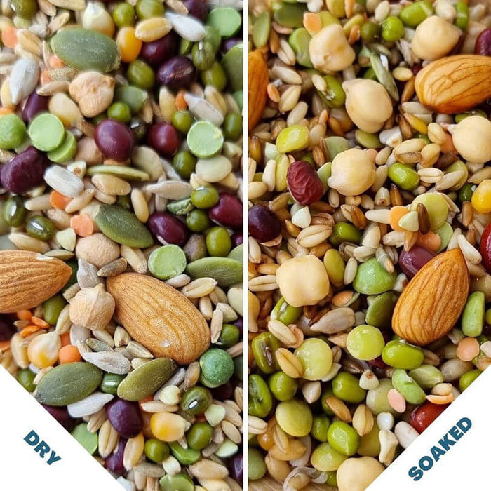 Raw for Birds Chunky Soaking Blend for Large Birds 1kg