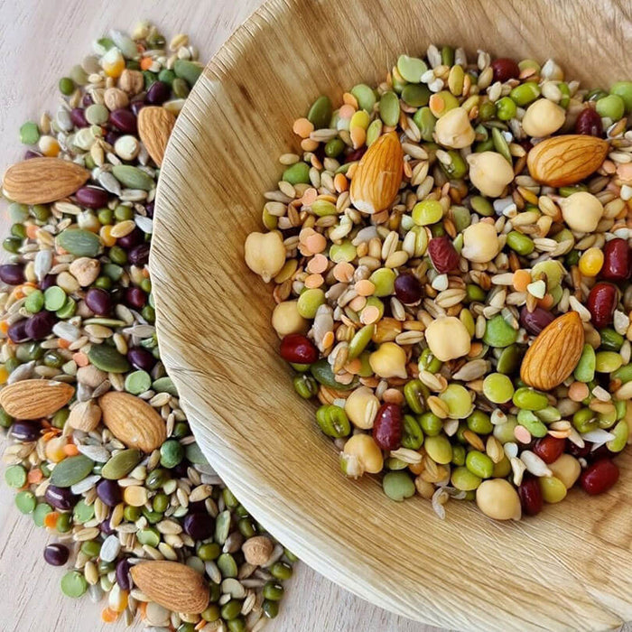 Raw for Birds Chunky Soaking Blend for Large Birds 1kg