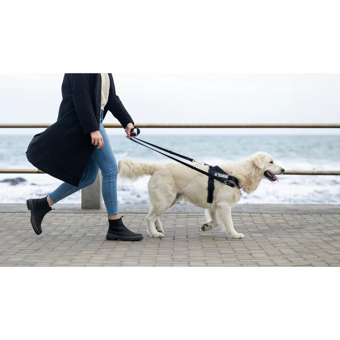 Rogz Utility LetzGo Personalisable Harness Black Sml