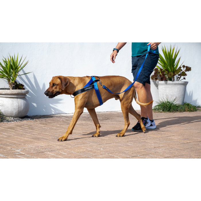 Rogz Utility LetzGo Personalisable Harness Blue Lge