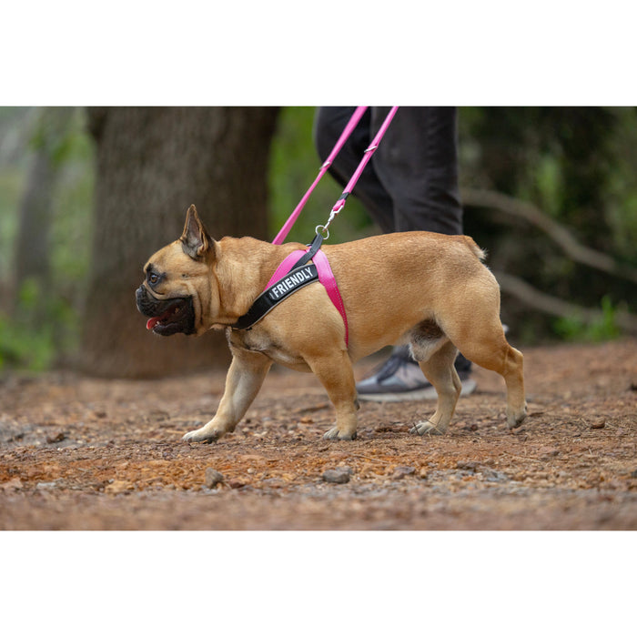 Rogz Utility LetzGo Personalisable Harness Pink Med/Lge
