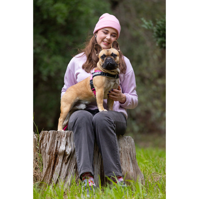 Rogz Utility LetzGo Personalisable Harness Pink Med/Lge