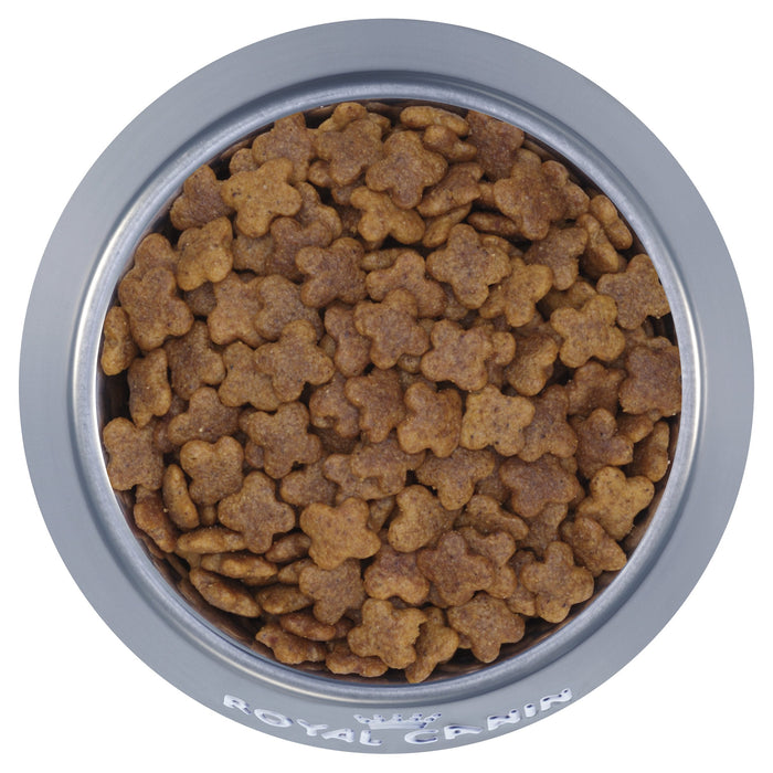 Royal Canin Dog Mini Adult Dry Food 800g