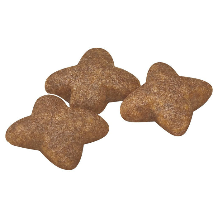 Royal Canin Dog Mini Adult Dry Food 800g