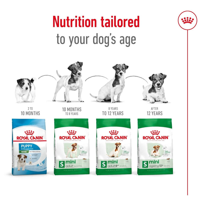Royal Canin Dog Mini Adult Dry Food 800g