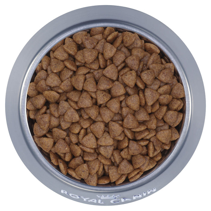 Royal Canin Dog Mini Puppy Dry Food 800g