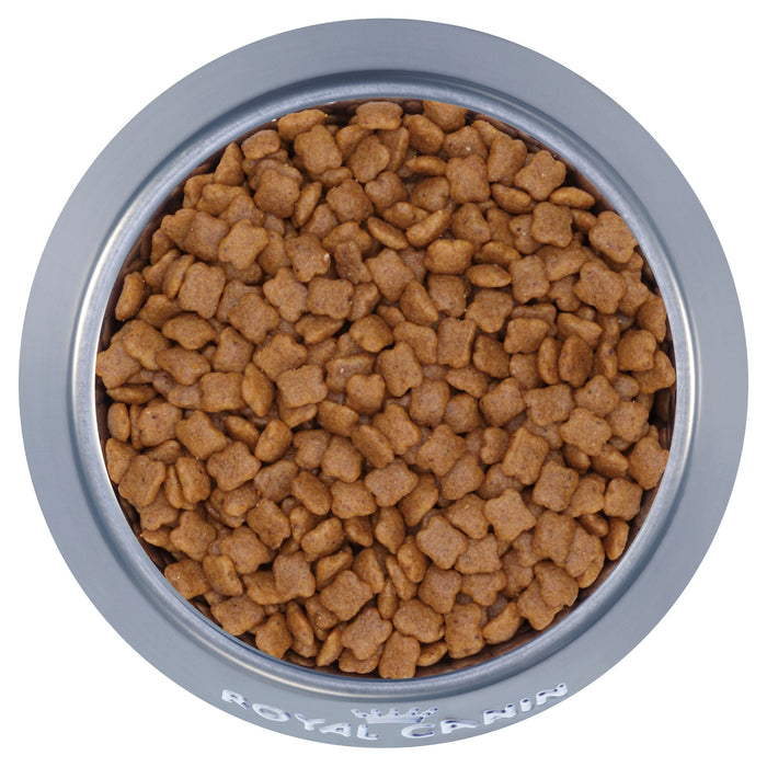 Royal Canin Kitten Dry Food 400g