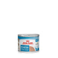 Royal Canin Mother and Babydog Puppy Mousse Wet Food 195g x 12-Habitat Pet Supplies