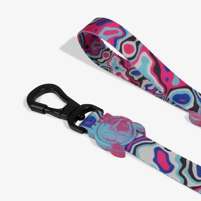 Zee.Dog Blast Dog Lead Small
